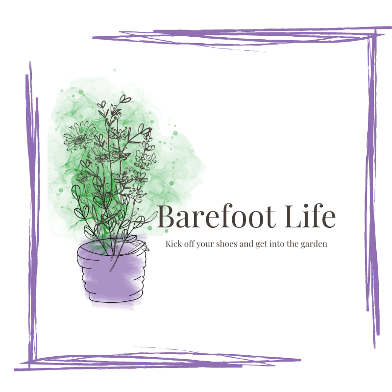 Barefoot Life